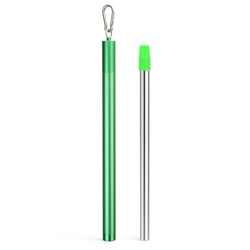 Stainless Steel Water Filter Straw