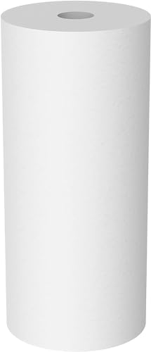 Pentair Pentek DGD (2 Count)