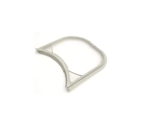Dryer lint filter