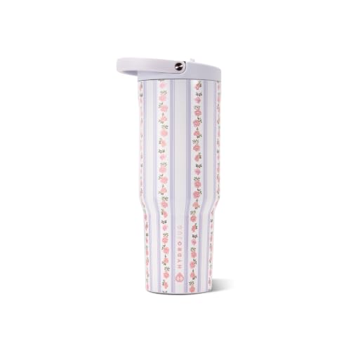 Sport 32 oz Insulated Stainless Steel Water Bottle