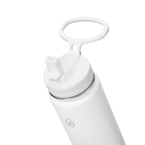 Insulated Water Bottle with Straw Lid