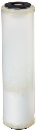 Pentair Pentek PCC212 Phosphate Water Filter