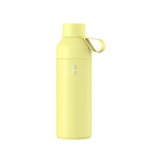 Original 17oz Stainless Steel Water Bottle