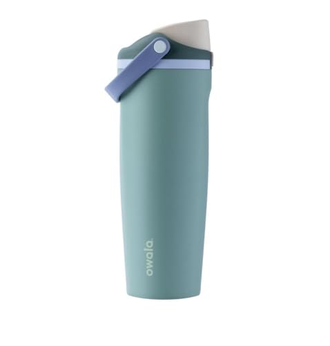 30oz FreeSip Sway Stainless Steel Water Bottle