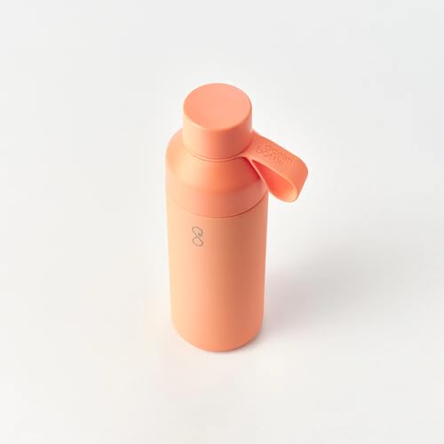 Original 17oz Stainless Steel Water Bottle