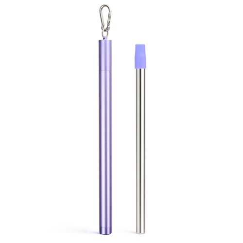 Stainless Steel Water Filter Straw