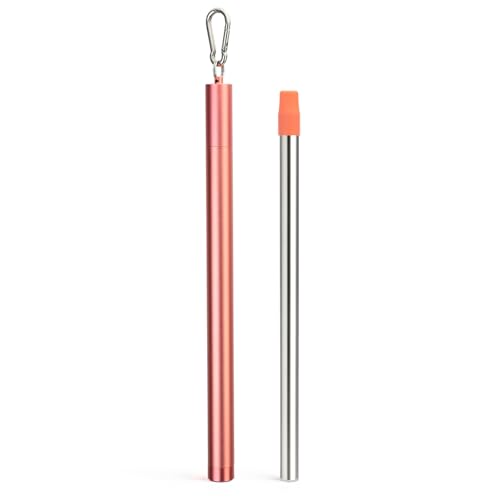 Stainless Steel Water Filter Straw