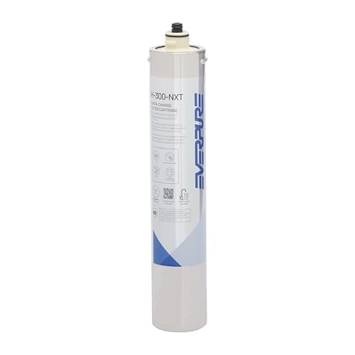 Pentair Everpure H