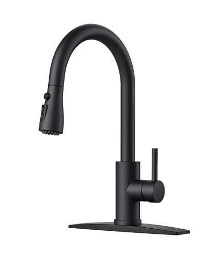 Kitchen Faucet with Pull Down Sprayer