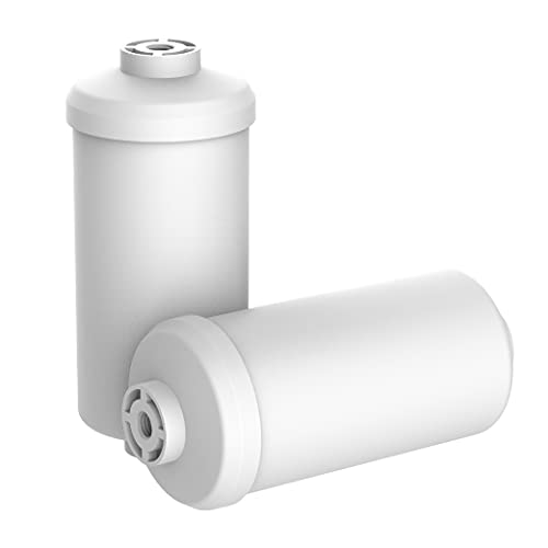 Gravity Water Filter (2 Count)