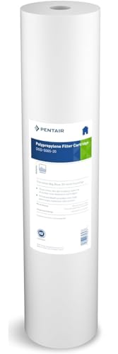 Pentair Pentek DGD