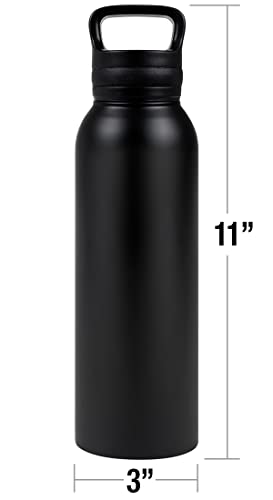 Harry Potter Vacuum Insulated Stainless Steel with Loop Cap