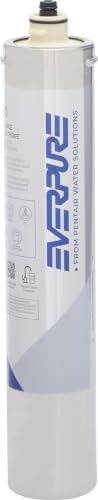 Pentair Everpure H