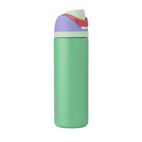 Princess FreeSip Stainless Steel Water Bottle 24 oz Ariel