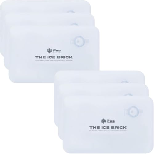 6 Pack Ice Brick (6 Count)