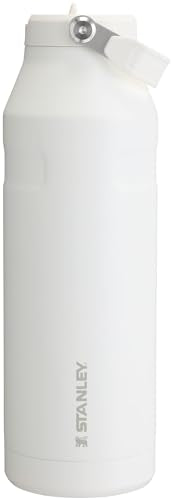 IceFlow Flip Straw 2.0 Bottle