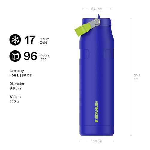 1913 Flip Straw Water Bottle With Straw 1.06L