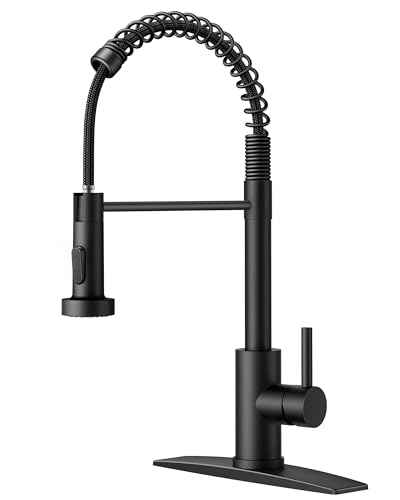 Black Kitchen Sink Faucet