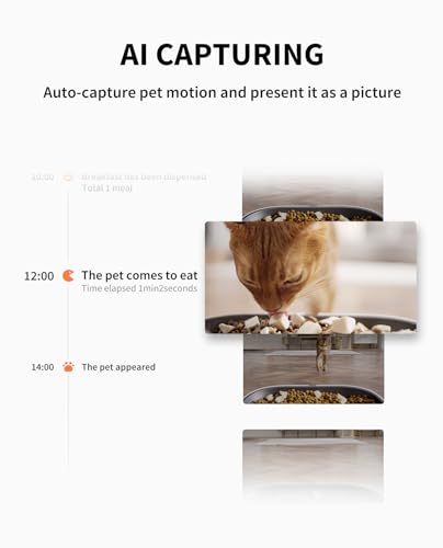 Automatic Cat Dog Feeder with Camera