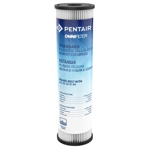 Pentair OMNIFilter RS1 10