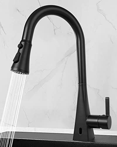 Pull Down Kitchen Faucet Head Replacement