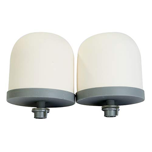 Ceramic Dome Water Filter with Coconut Shell Activated Carbon