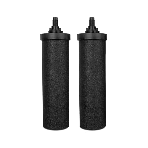 AquaEasy BB9 Replacement Water Filter Candles (2 Count)