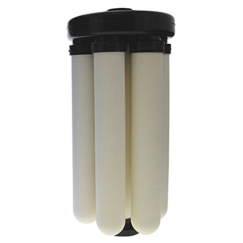 W9381000 Rio 2000 Module Including 6 x Bespoke Sterasyl Ceramic Drinking Water Candle Filters 8 inch for High Flow Big Blue Housing