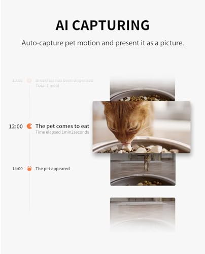 Automatic Cat Feeder with Camera