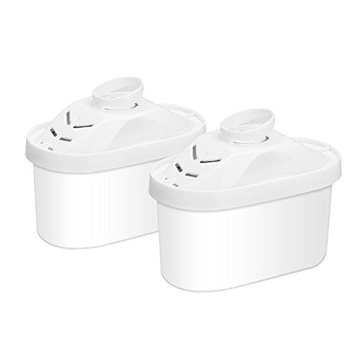 Alkaline Water Filter (2 Count)