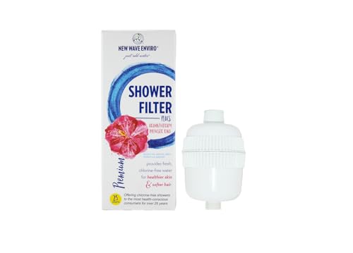 Shower Filter System with Chlorine Removal