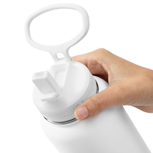 Insulated Water Bottle with Straw Lid