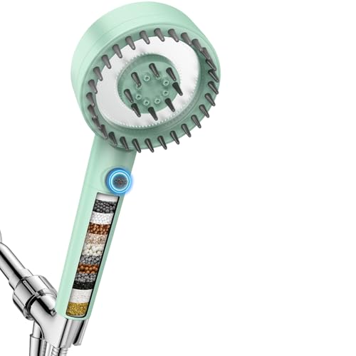Filtered Shower Head with Handheld