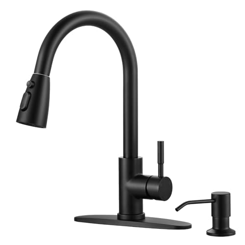 Black Kitchen Faucet with Soap Dispenser