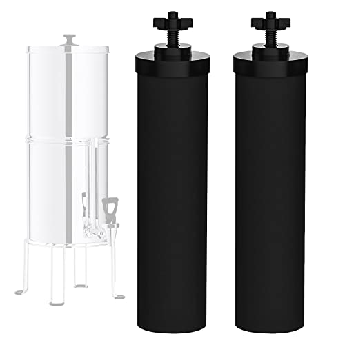 NSF ANSI 42 Certified Black Purification Elements (2 Count)