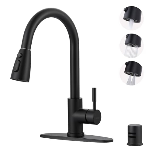 Kitchen Faucet with Air Gap