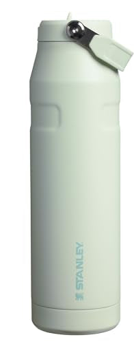 IceFlow Flip Straw 2.0 Bottle