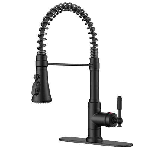 Vintage Black Kitchen Faucet with Pull Down Sprayer