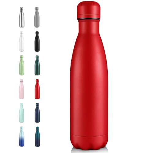 17oz Insulated Stainless Steel Water Bottle