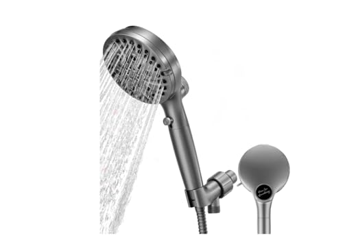 Filtered Shower Head with Handheld