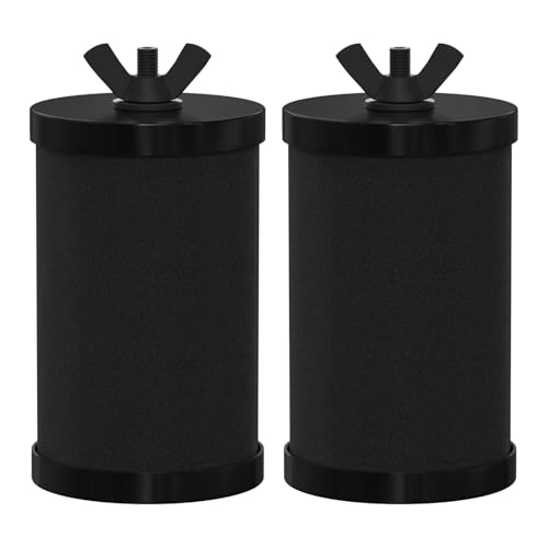 2387 Pro Water Filter Replacement (2 Count)