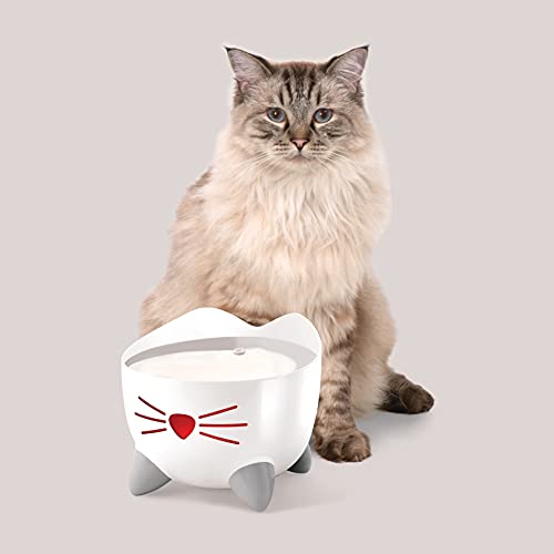 PIXI Drinking Fountain
