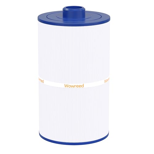 Spa Filter Compatible with Maax Spas