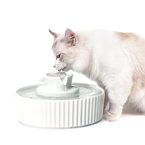 Ceramic Cat Water Fountain