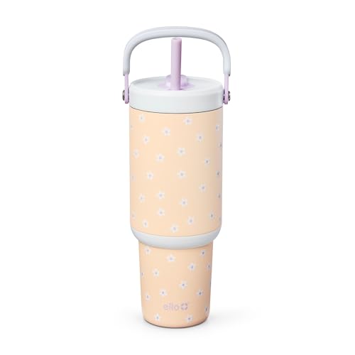 Oasis Go+ 32oz Insulated Stainless Steel Tumbler with Straw