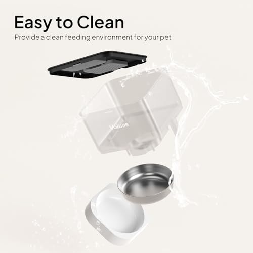 Automatic Cat Feeder
