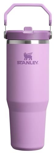 IceFlow 2.0 Flip Straw Tumbler (30 Count)