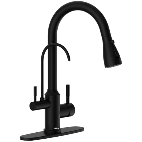 Kitchen Faucet with Water Filter