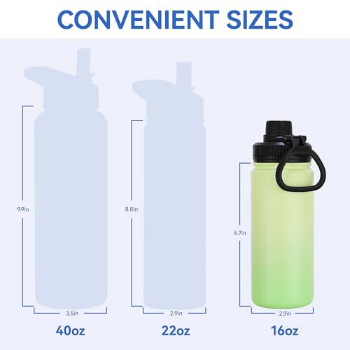 16 oz Water Bottle Stainless Steel Double Wall Vacuum Insulated Water Bottle with Straw lids & Spout Lid