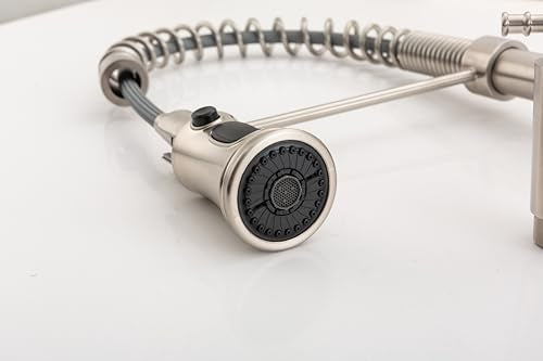 Wall Mount Kitchen Faucet